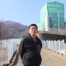피그텔 이미지