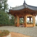 올레길 산림형 1코스 이미지