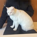 뷔네커피바