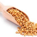 레드클로버 이미지