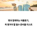 몽마르뜨 동물병원 | 펫과 함께하는 여름휴가, 꼭 챙겨야 할 필수 준비물 리스트