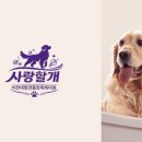 사랑할 개 이미지