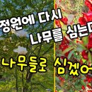 정원수추천,수많은 시행착오를 겪은후 다른사람에게 추천하고 싶은 정원수 12종류 이미지