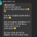 서퍼스