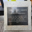 범천빌딩 쇼핑(통일회관) | 명동거리 - 화풍의 서울나들이