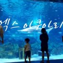 아쿠아트 이미지