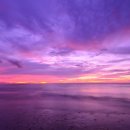 뷰티바이올렛 이미지