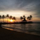 돌고래게임장 이미지