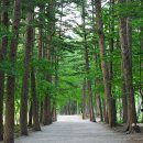 생폴드방스 펜션 | [전라북도 부안군] 생폴드방스 펜션