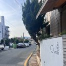 [김해 카페] 김해 부원동 카페 오월 에스프레소 후기