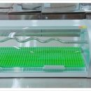 이서(순천) 이미지