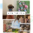 안경세계 | 보홀 기념품 후기ㅣ율스 기념품샵 &amp; 안경원숭이 인형샵 (추천/비추천)