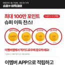 2001분당 이미지