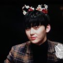 꽃냥이 이미지