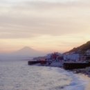 삼성디지털프라자 앞 교통섬 | [도쿄정보] 유학생(겸 도쿄 중독자)의 근교 여행지 및 액티비티 추천