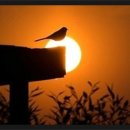 문득 그집 이미지