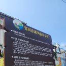 비고리조트 19 이미지