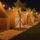 camp 80 이미지