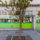 수라칼국수 이미지