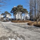 세종하나마트
