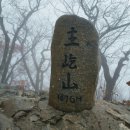 진산주 이미지