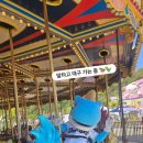 단디 이미지