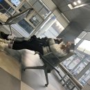 진부(오대산)역 이미지