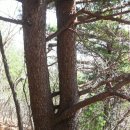 삼창3리 경로당 | 영천 작은 보현산 - 갈미봉 산행