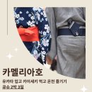 카멜리아 이미지