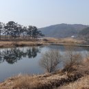 적성민박 이미지