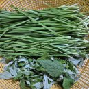 10월9일 목요일 한글날 창원방 출석부 이미지