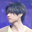 개이쁘다 이미지