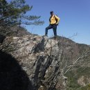 여우와늑대 이미지