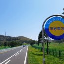 인화동 (일도이동주민센터방면) | 제주 마방목지 : 5.16 도로변 아늑한 풍경아래 노니는 제주마(濟州馬)의 고수목마(古藪牧馬) 풍경