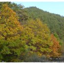 금강의하루민박 이미지