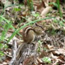 미강서원터 이미지