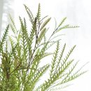 그림책 원예테라피 이미지