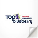 법인탑블루베리 | 탑블루베리 로고 제작 후기