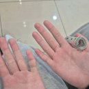 성북본튼튼의원 이미지