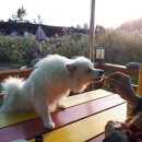 청송해변집 이미지