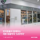 도토약국 이미지