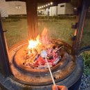 로로캠핑 - 칠곡군 2산업단지2길 20-12 | 물놀이와 감성 캠핑을 동시에! 아산 파라다이스 도고 캐빈파크 카라반 1박 2일 후기