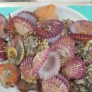 통큰 푸드 이미지