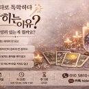 타로 배우기 티스토리