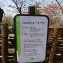 압구정로 이미지