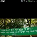 수내고등학교 이미지