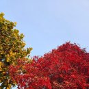 뜨개모임 | 뜨개모임 | 오프라인 한코한잔 뜨개 모임 후기