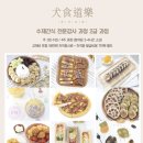 [창원 강아지수제간식] 견식<b>도락</b> - 전문강사자격증반 수강후기