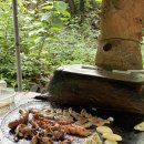 용골농원 이미지