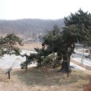 신안주씨 삼세적선비 이미지